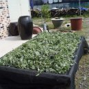 둥지민박 이미지