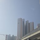 동탄대로L 이미지