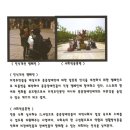 분당장애인자립생활센터 이미지