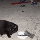 포세카신규캠프직원식당 | 쿠팡 대전1센터 신선센터 출고 (OB) 주간풀 파트 포장 후기 최근 근황!! 식사 근무난이도 주차 급여