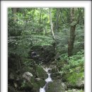 계곡 이미지