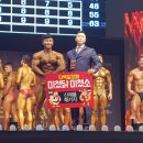 스타짐피트니스 이미지