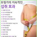 모링가 가루 먹는법 &amp; 모링가 판매 이미지