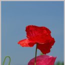 하늘아래첫펜션 이미지