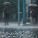소나기 - 진주시 대신로 289-1 | 소나기