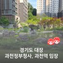 과천 임장 후기(1) — 정부과천청사역, 과천역 근처 래미안슈르·위버필드·과천자이·푸르지오써밋