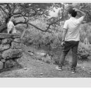 영천시 매산 고택과 산수정 이미지