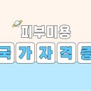 피부하다샵에스테틱
