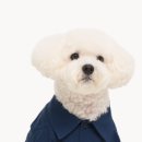 패션고구미
