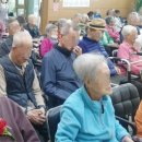 메아리연주단 이미지