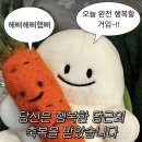 포레스트 김밥 이미지