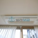 나인블리스