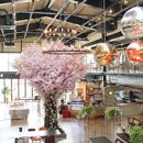 테라스카페마켓 이미지