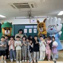 용전초 이미지