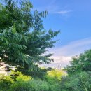 달맞이근린공원 이미지