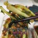 예소담 | [제품 후기]예소담 열무김치추천, 더운 날씨 입맛 살려준 시원한 밥도둑!