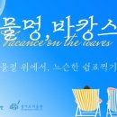 물멍물멍 네이버블로그