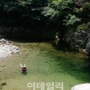 고라데이민박 이미지