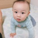 오투피부손질