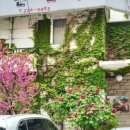 녹원쌈밥 이미지