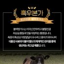 흑우본가