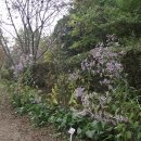 서울대학교 농업생명과학대학 이미지