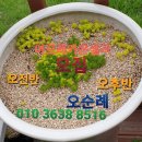 수광슈퍼