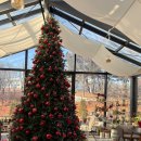 영등동-35 이미지