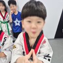도원태권도장 네이버블로그