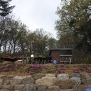 cafe ALO(카페 알로)