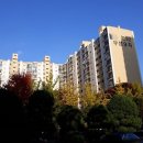 개포1-101 이미지