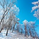 영월세무서 이미지