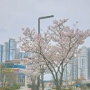 홍동면사무소앞 이미지
