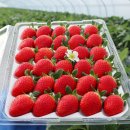 우현농장 이미지