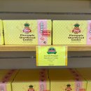 훈이글로벌농장 | 하와이 DOLE 파인애플농장 돌 플랜테이션 / 투어 없이 기념품 숍 / 파인애플 아이스크림 후기