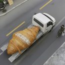 [수서2] 퍼스널컬러 이미지 브랜딩 6주 B (6/20-7/25) | [프로젝트] 광고 콘텐츠 제작 | 한국관광공사 숏폼 콘텐츠 제작 ing | 시장조사, 세그먼트 정리 및 컨셉...