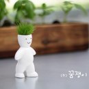 꿈쟁이하우스 이미지