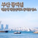 해운대석각 | 부산여행 동백섬 해운대 해안산책코스 주차 동백꽃 개화시기 누리마루 APEC 하우스