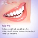 생활뷰티