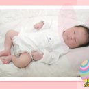 서인구 Daum카페