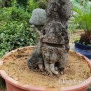 송화식당 이미지