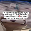 250419 수학여행기