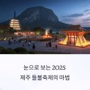 새별오름컨텐츠 | 제주 들불축제는 어떤 분위기일까? 새별오름 가본 후기