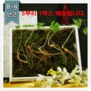 삼삼삼