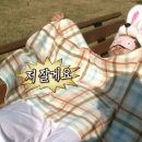 초롱안경콘택트 이미지