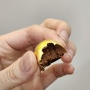 자매당한의원 이미지