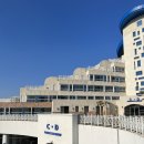 새천년 당구장 | [강원도 여행 -1] 삼척 쏠비치 호텔 / 부일 막국수 / 쏠비치 석식 뷔페