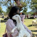 대환목장 네이버블로그