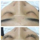 미를붙이다 이미지