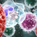 바로척척의원 이미지